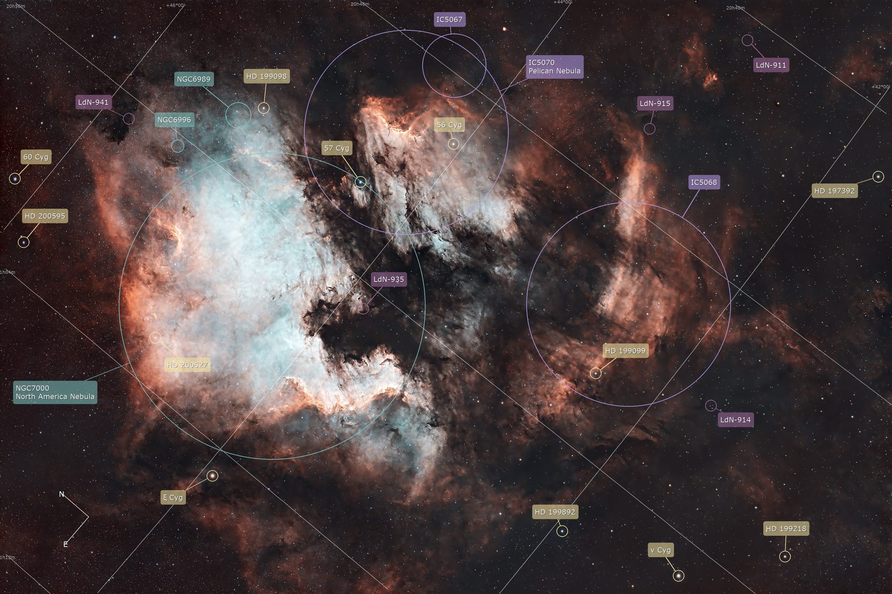 DG Modern Annotator export of NGC 7000, the North America and Pelican Nebulae, with catalog objects, dark nebulae, and bright stars labeled and color-coded by catalog.