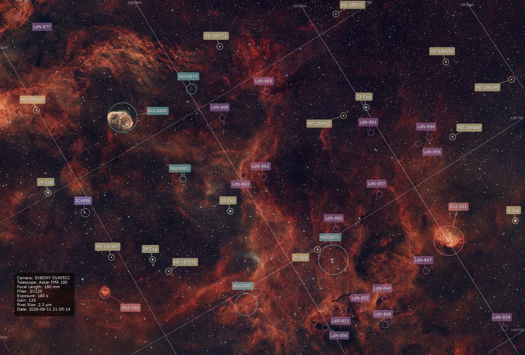 DG Modern Annotator export of the Tulip Nebula and Sadr region in Cygnus, with nebulae, dark nebulae, star clusters, and stars labeled and color-coded by catalog.